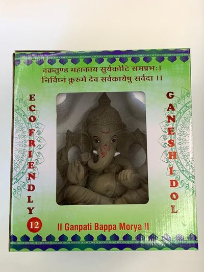 Lord Ganesh Idol (Eco Friendly) 12 Inch